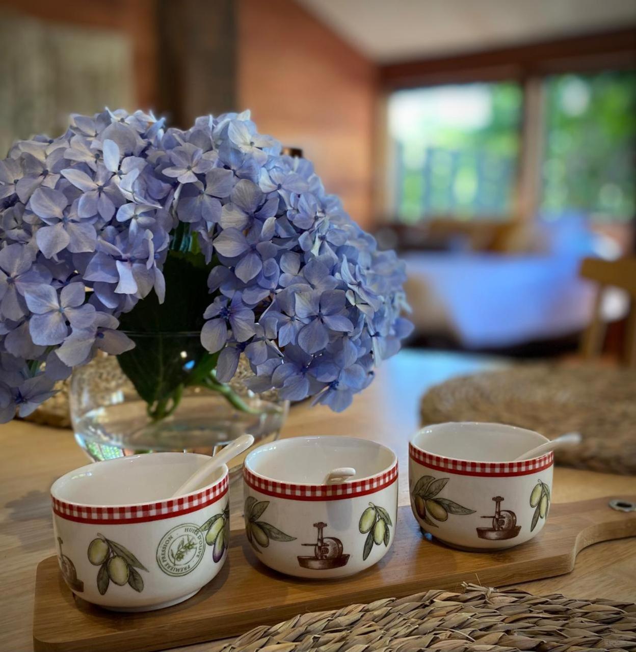 Hotel Casa Ayacara Frutillar Zewnętrze zdjęcie
