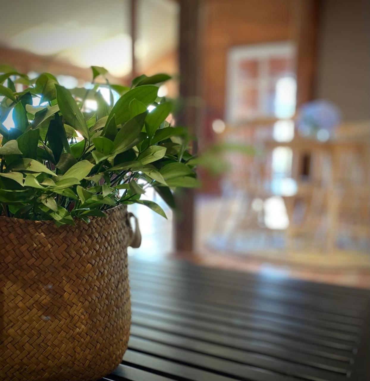 Hotel Casa Ayacara Frutillar Zewnętrze zdjęcie